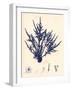 Blue Botanical Study II-Kimberly Poloson-Framed Art Print