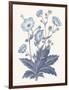Blue Botanical VI-Wild Apple Portfolio-Framed Art Print