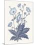 Blue Botanical VI-Wild Apple Portfolio-Mounted Art Print