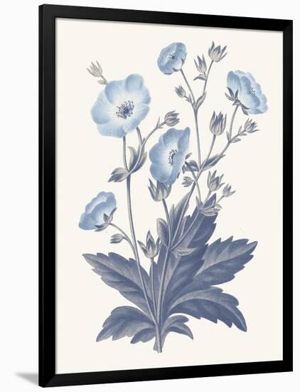 Blue Botanical VI-Wild Apple Portfolio-Framed Art Print