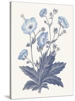 Blue Botanical VI-Wild Apple Portfolio-Stretched Canvas