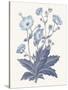 Blue Botanical VI-Wild Apple Portfolio-Stretched Canvas