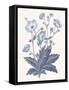 Blue Botanical VI-Wild Apple Portfolio-Framed Stretched Canvas