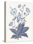 Blue Botanical VI-Wild Apple Portfolio-Stretched Canvas