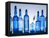 Blue Bottles-Luzia Ellert-Framed Stretched Canvas