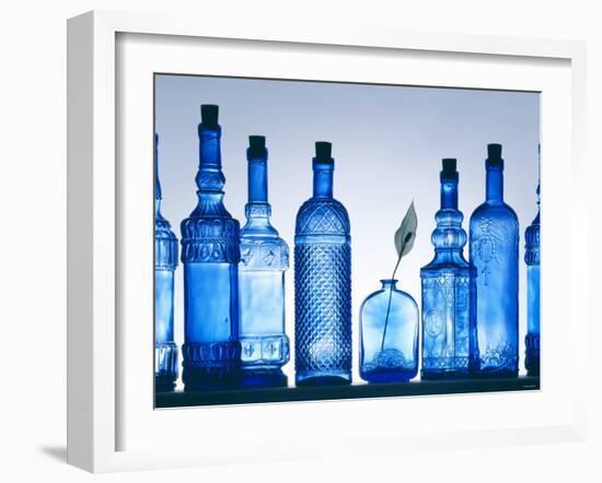 Blue Bottles-Luzia Ellert-Framed Photographic Print