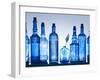 Blue Bottles-Luzia Ellert-Framed Photographic Print