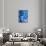 Blue Boxer-Abstract Graffiti-Mounted Giclee Print displayed on a wall