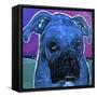 Blue Boxer-MADdogART-Framed Stretched Canvas