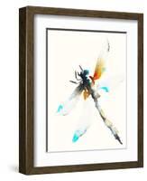 Blue & Brown Dragonfly-Karin Johannesson-Framed Art Print