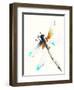 Blue & Brown Dragonfly-Karin Johannesson-Framed Art Print