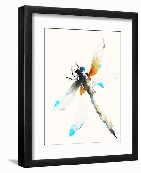 Blue & Brown Dragonfly-Karin Johannesson-Framed Art Print