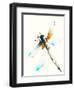 Blue & Brown Dragonfly-Karin Johannesson-Framed Art Print