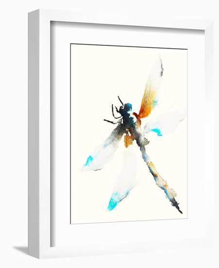 Blue & Brown Dragonfly-Karin Johannesson-Framed Art Print