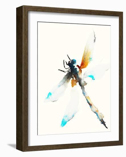 Blue & Brown Dragonfly-Karin Johannesson-Framed Art Print