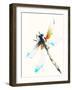 Blue & Brown Dragonfly-Karin Johannesson-Framed Art Print