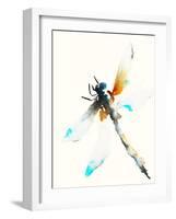 Blue & Brown Dragonfly-Karin Johannesson-Framed Art Print