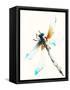 Blue & Brown Dragonfly-Karin Johannesson-Framed Stretched Canvas