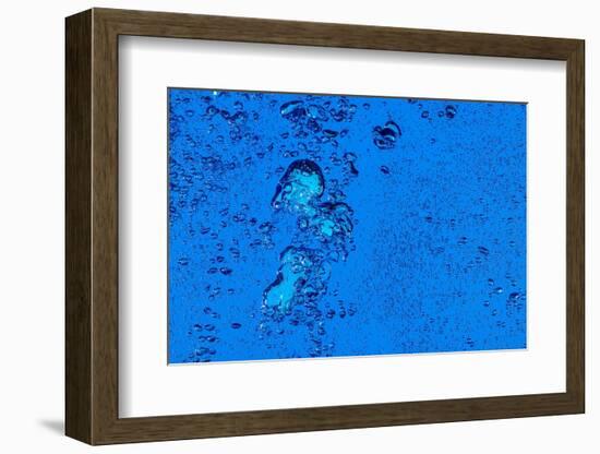 Blue Bubbles 2-Steve Gadomski-Framed Photographic Print