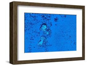 Blue Bubbles 2-Steve Gadomski-Framed Photographic Print