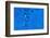 Blue Bubbles 2-Steve Gadomski-Framed Photographic Print