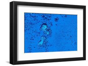 Blue Bubbles 2-Steve Gadomski-Framed Photographic Print