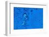 Blue Bubbles 2-Steve Gadomski-Framed Photographic Print