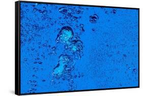 Blue Bubbles 2-Steve Gadomski-Framed Stretched Canvas