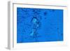 Blue Bubbles 2-Steve Gadomski-Framed Photographic Print