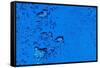 Blue Bubbles-Steve Gadomski-Framed Stretched Canvas