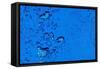 Blue Bubbles-Steve Gadomski-Framed Stretched Canvas