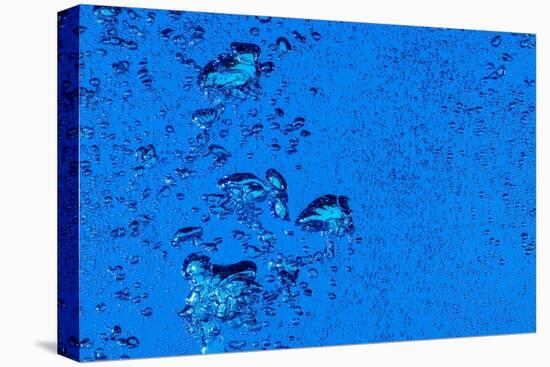 Blue Bubbles-Steve Gadomski-Stretched Canvas