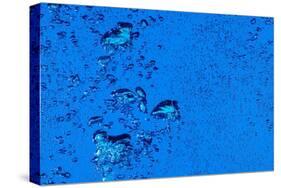Blue Bubbles-Steve Gadomski-Stretched Canvas