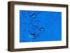 Blue Bubbles-Steve Gadomski-Framed Photographic Print