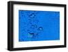 Blue Bubbles-Steve Gadomski-Framed Photographic Print