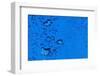 Blue Bubbles-Steve Gadomski-Framed Photographic Print