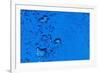 Blue Bubbles-Steve Gadomski-Framed Photographic Print