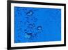 Blue Bubbles-Steve Gadomski-Framed Photographic Print