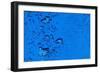 Blue Bubbles-Steve Gadomski-Framed Photographic Print