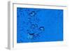 Blue Bubbles-Steve Gadomski-Framed Photographic Print