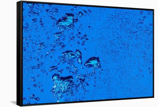 Blue Bubbles-Steve Gadomski-Framed Stretched Canvas