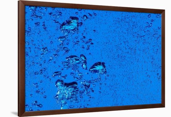 Blue Bubbles-Steve Gadomski-Framed Photographic Print