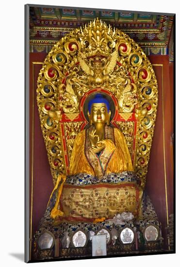 Blue Buddha Hands, Peace Altar Offerings Yonghe Gong Buddhist Lama Temple-William Perry-Mounted Photographic Print