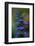 Blue Bugle (Ajuga Reptans) in Flower, Bugleweed, Echternach, Mullerthal, Luxembourg, May 2009-Tønning-Framed Photographic Print