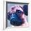 Blue Bulldog-R Berghaus-Framed Art Print
