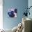 Blue Bulldog-R Berghaus-Mounted Art Print displayed on a wall