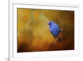 Blue Bunting in Autumn-Jai Johnson-Framed Giclee Print