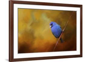 Blue Bunting in Autumn-Jai Johnson-Framed Giclee Print