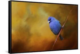 Blue Bunting in Autumn-Jai Johnson-Framed Stretched Canvas