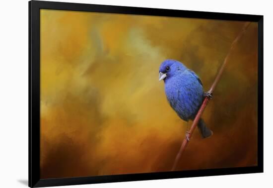 Blue Bunting in Autumn-Jai Johnson-Framed Giclee Print